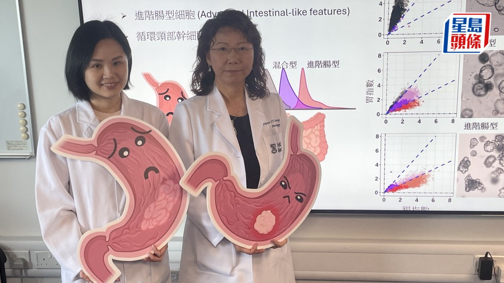 （左起）港大醫學院臨床醫學學院病理學系助理教授甄凱寧、港大醫學院臨床醫學學院病理學系系主任梁雪兒。蕭博禧攝