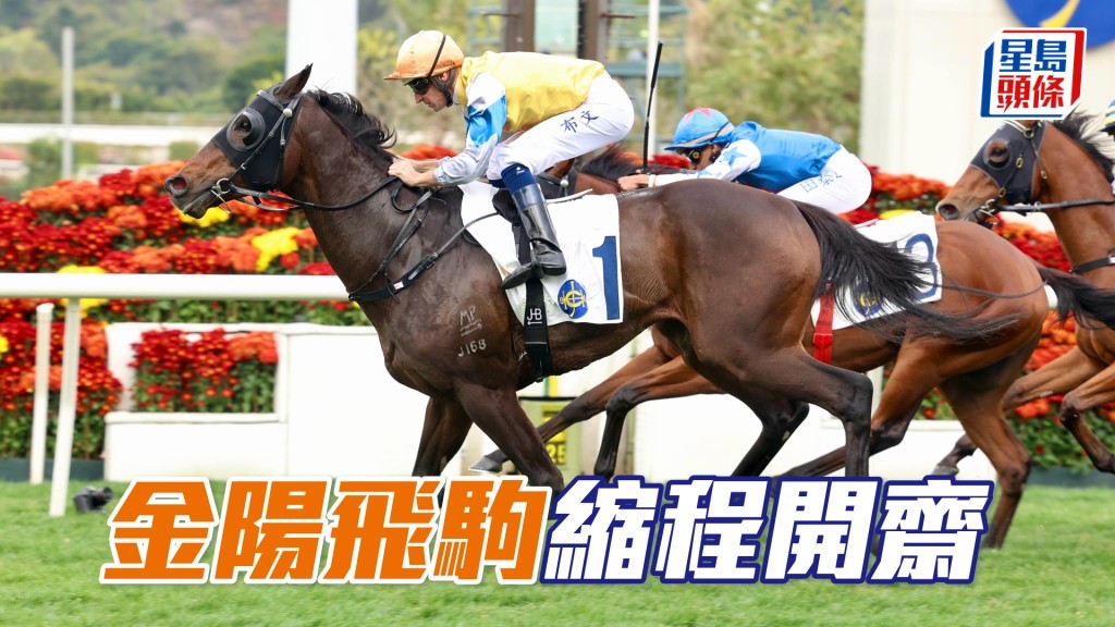 「金陽飛駒」縮程開齋