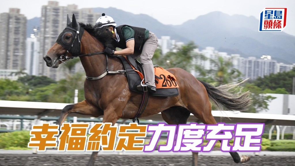 「幸福约定」按住轻松走过，早熟马进度好。