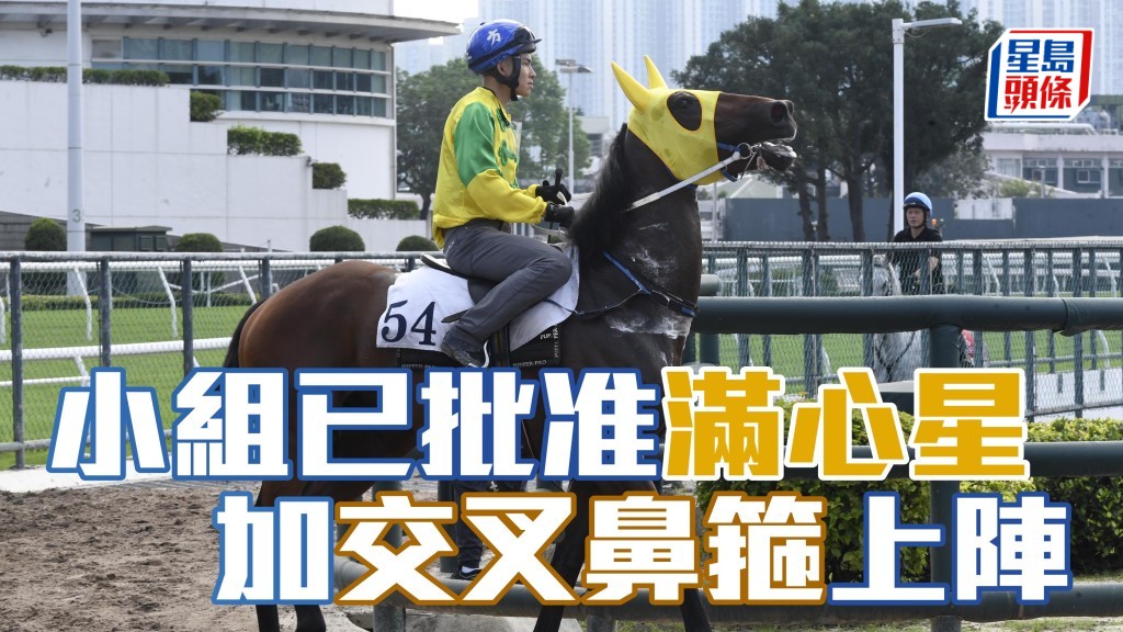 受薪董事小組已批准上仗獲勝賽駒「滿心星」(圖) 的練馬師方嘉柏的請求，准許該駒加佩交叉鼻箍角逐上述賽事。