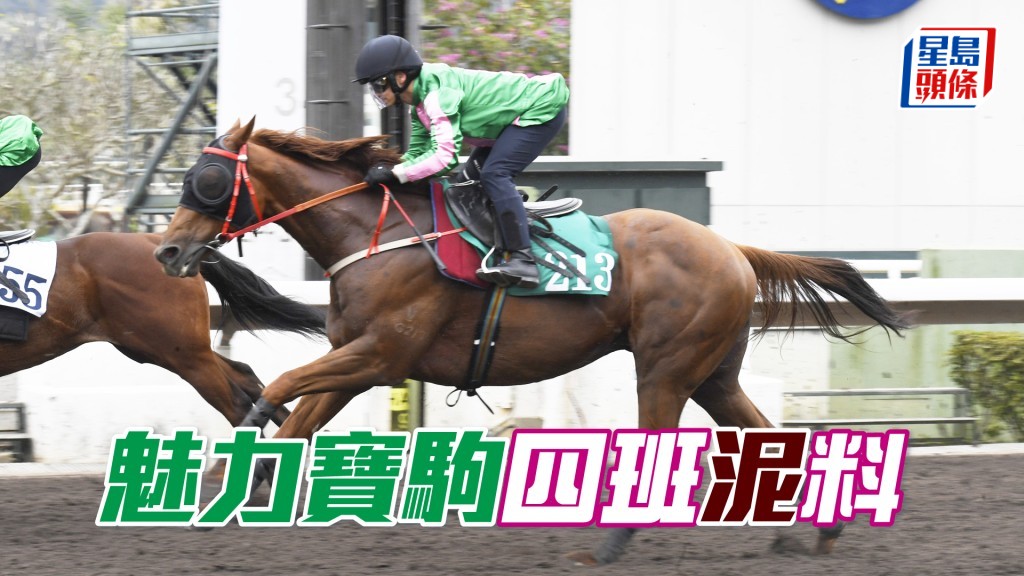 「魅力宝驹」季初可于泥地千二跑赢「皇龙飞将」与「实力哥」，今次面对四班弱旅应可获胜。