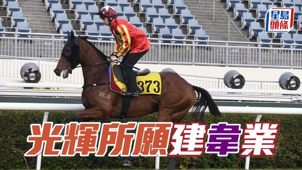 韋達今晚四駒列陣各有分量，「光輝所願」獲練騎重視必拼。