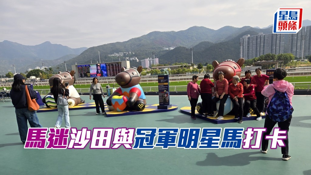 上周日沙田日馬賽，已見有不少馬迷入場觀戰前，與公仔打卡。