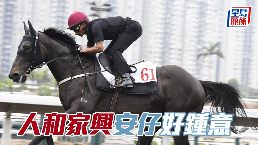 「人和家興」近期改配田泰安繼續神勇，一連兩仗跑第三。