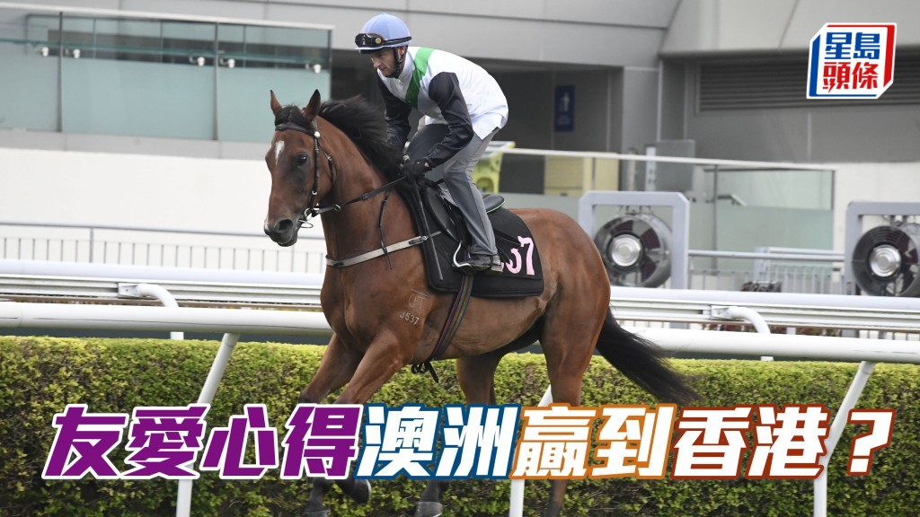 「友愛心得」今場在港初出配潘頓，未知能否由澳洲贏到香港呢？