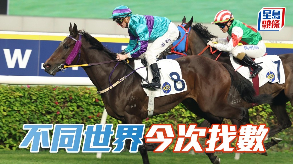 今次「不同世界」(圖) 重配贏馬拍檔周俊樂，信佢係時候找數。