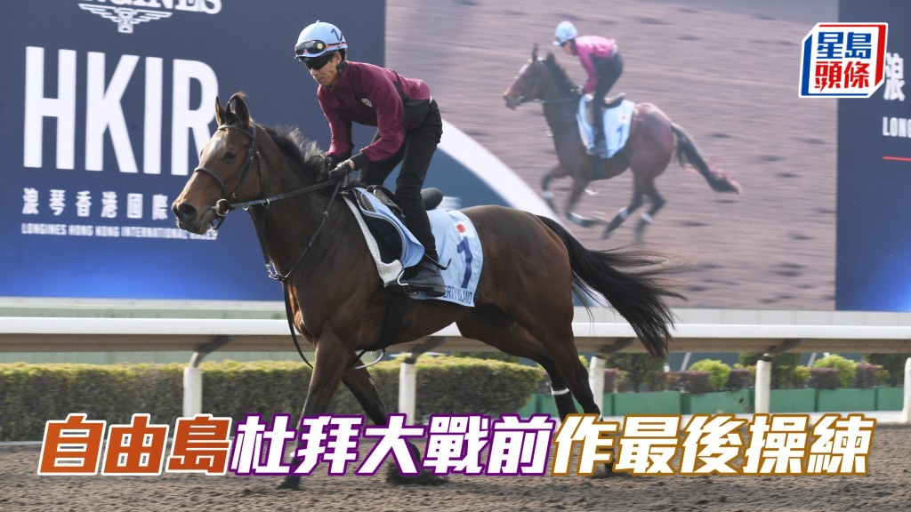 多匹將在下周六杜拜世界盃賽馬日上陣的日本賽駒如「自由島」(圖),於昨(23/3)晨在栗東訓練中心作出發前最後試跑。(資料圖片)