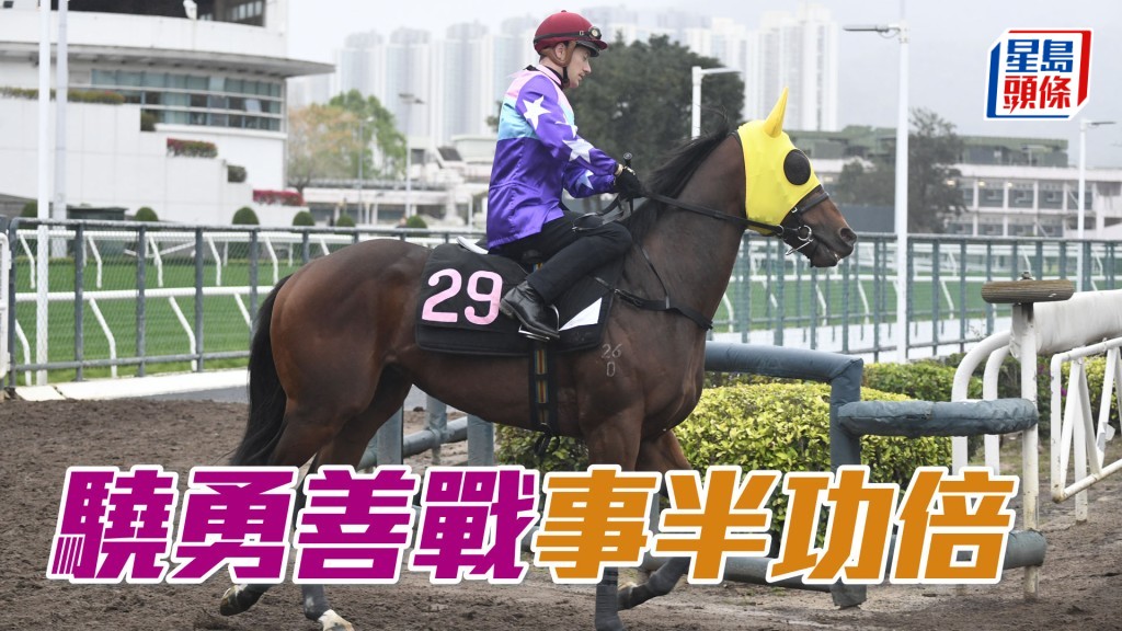 「驍勇善戰」今次跑A+3的直路賽會加設輔助欄，估計應有利走最外疊，排十三檔可收事半功倍之效。