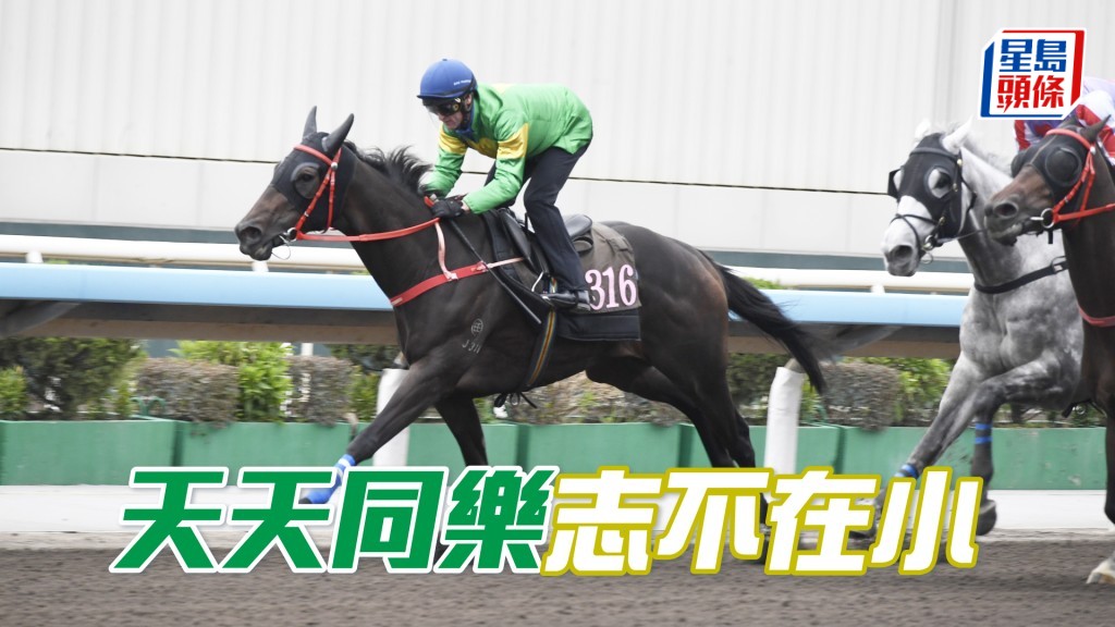 「天天同乐」落班即报跑泥地兼强配潘顿，排外档亦不怕。
