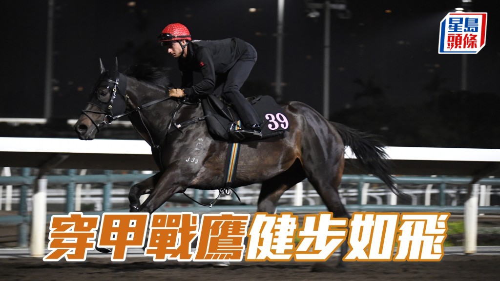 「穿甲戰鷹」神態活躍,佳態洋溢。