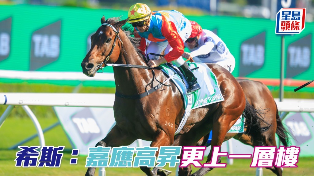 中銀香港私人銀行馬會短途錦標，大衛希斯對「嘉應高昇」充滿信心。