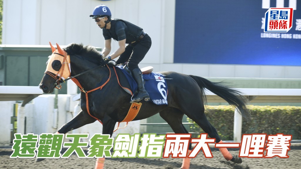 應屆安田紀念賽盟主「遠觀天象」，已報名傑克莫華大賽及隆尚磨坊大賽兩場一級賽。