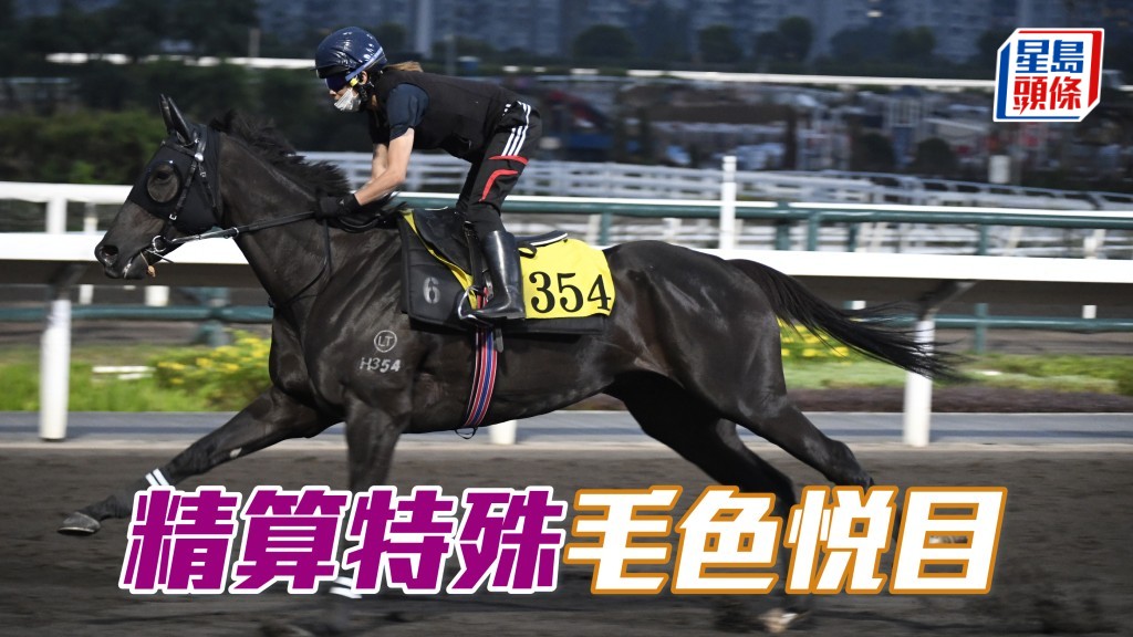 「精算特殊」毛色悅目