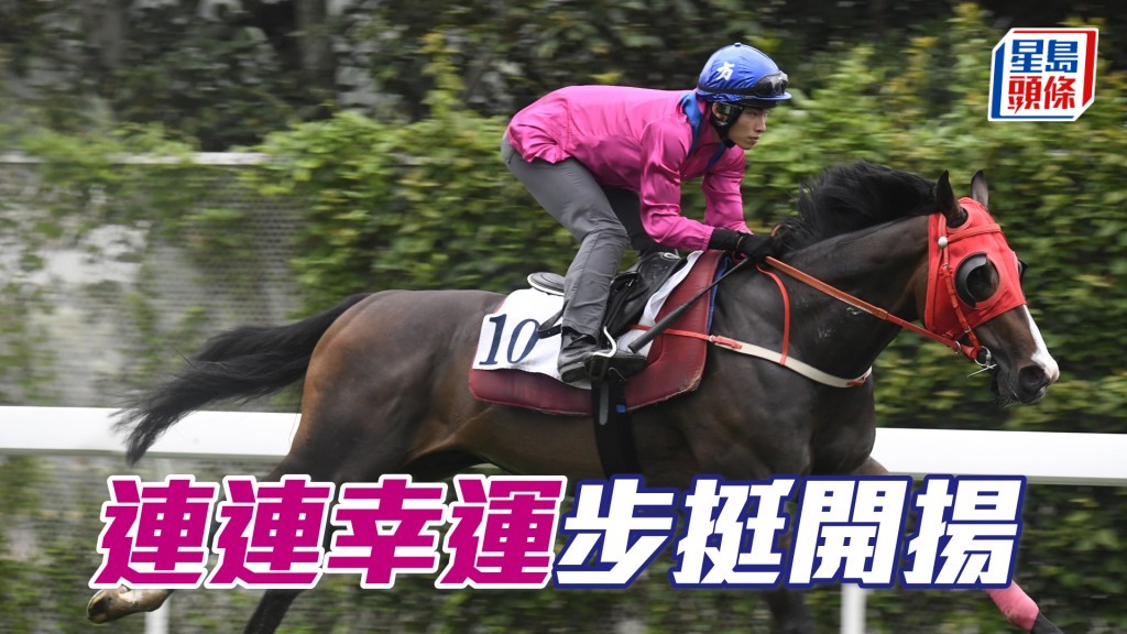 「連連幸運」神態活躍呈現朝氣，喼到上佳水準。