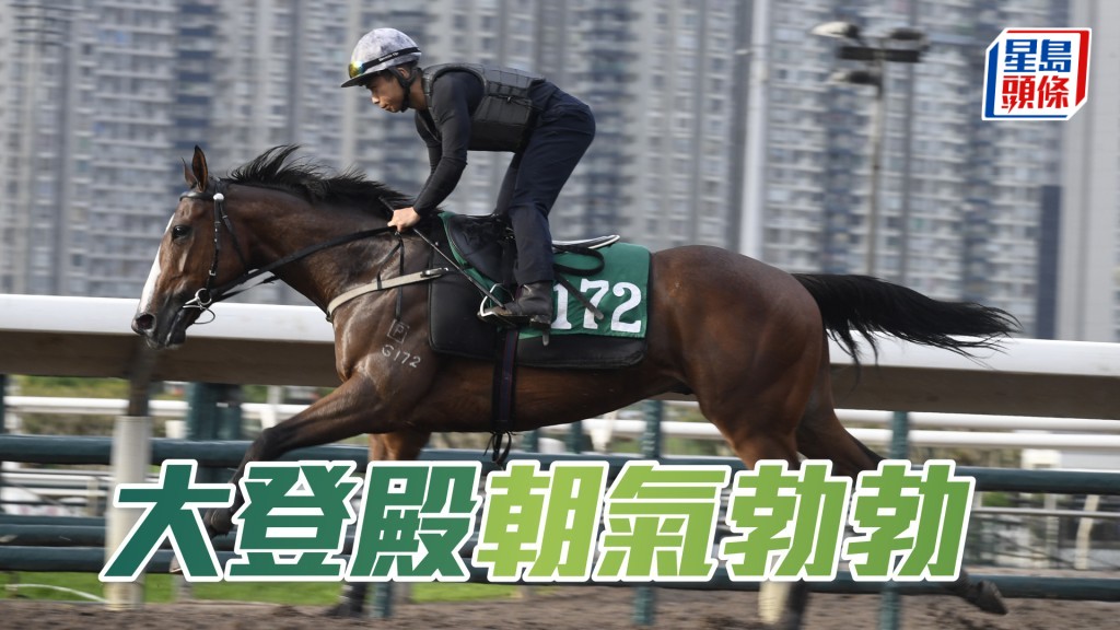 「大登殿」近日出試時落腳富有彈力，朝氣勃勃，狀態正值勇境。