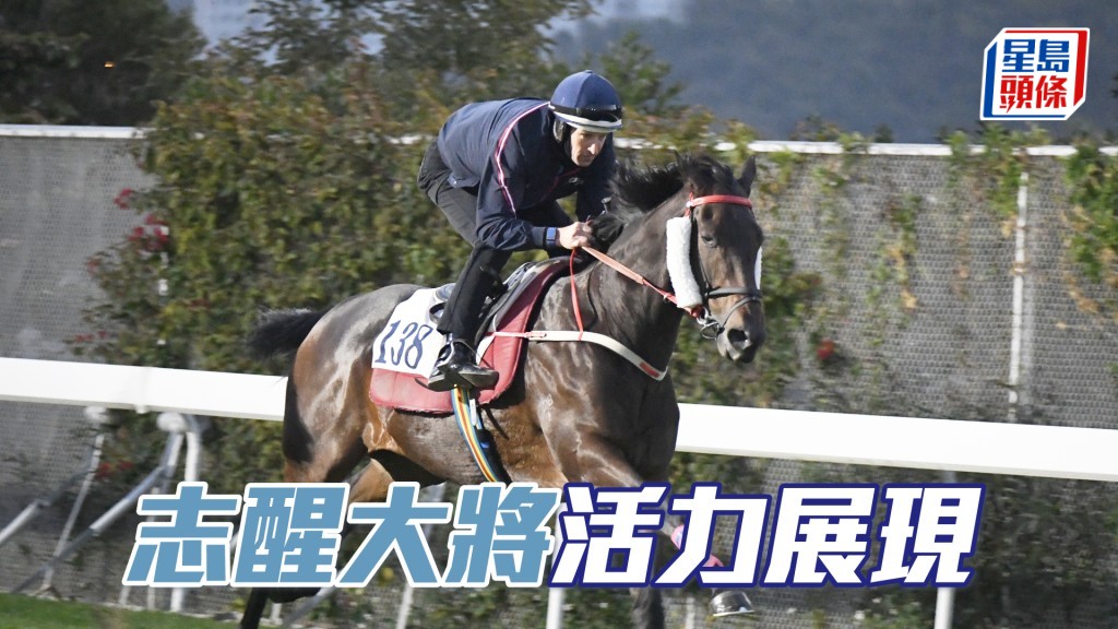 「志醒大將」神色活躍，進度極之出色。