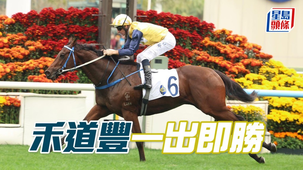 「禾道丰」一出即胜