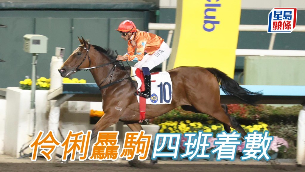 「伶俐骉驹」赛绩硬净，仍居四班好着数。