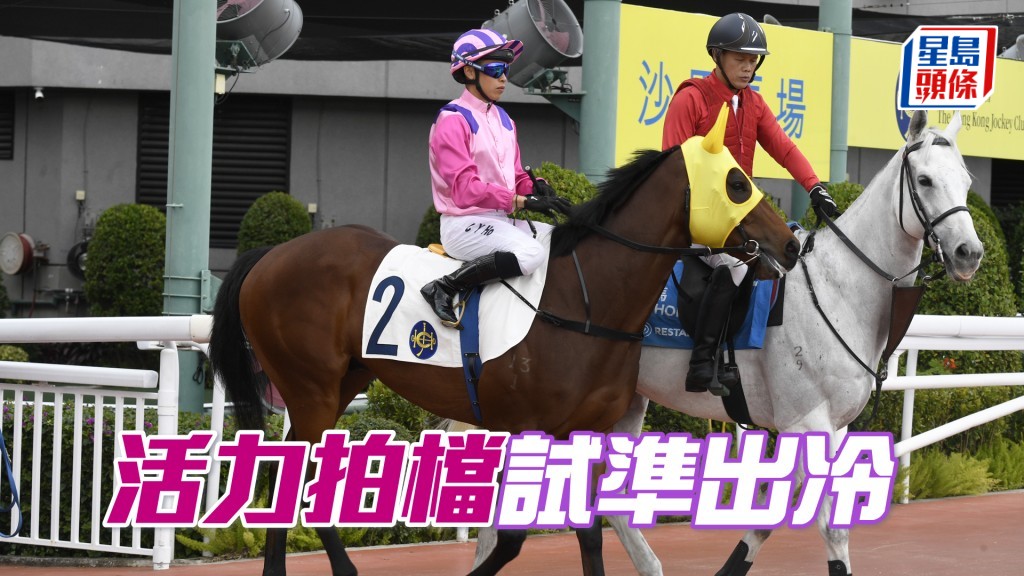 「活力拍檔」上仗遇不利的場地偏差都追得好，今次應有更佳演出。
