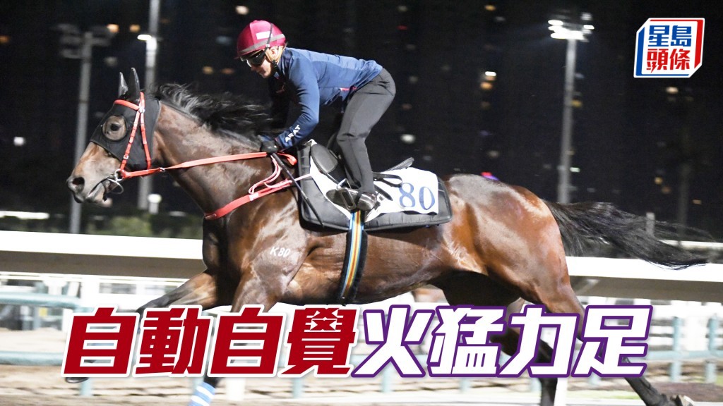 「自動自覺」毛色悅目，勝後更進一步。