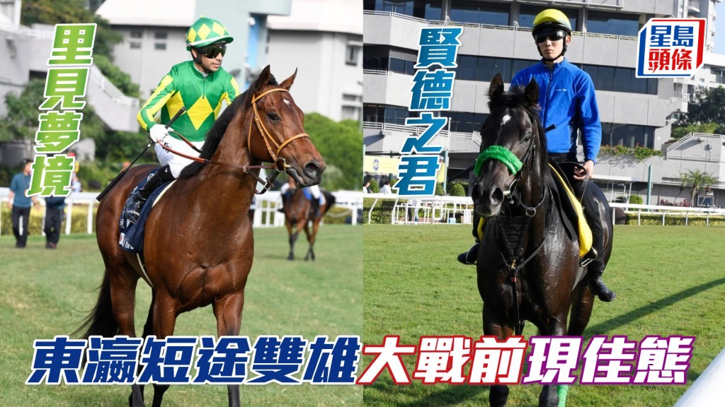 馬場浮世繪｜東瀛短途雙雄 禧年誌慶錦標前現佳態