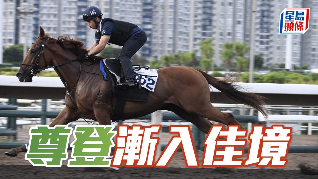 「尊登」助手跳兩段,中檔加速反應不錯,馬身收實神態暢旺,狀態漸入佳境。(資料圖片)