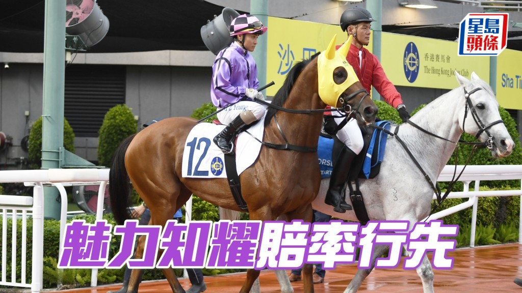 「魅力知耀」前仗跑第二水準高，有分頭值得一試。