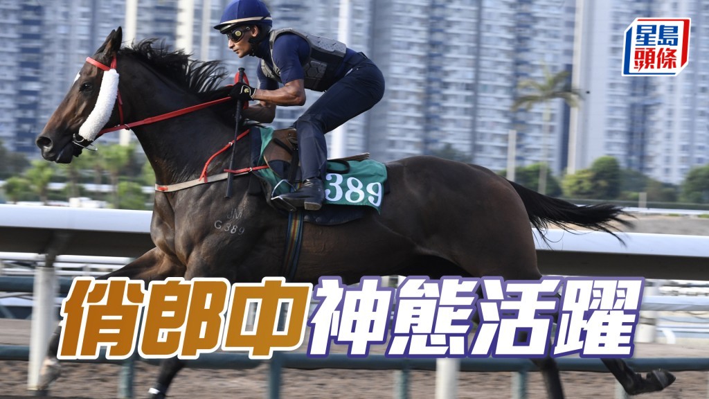 「俏郎中」心火旺盛，佳態保持。