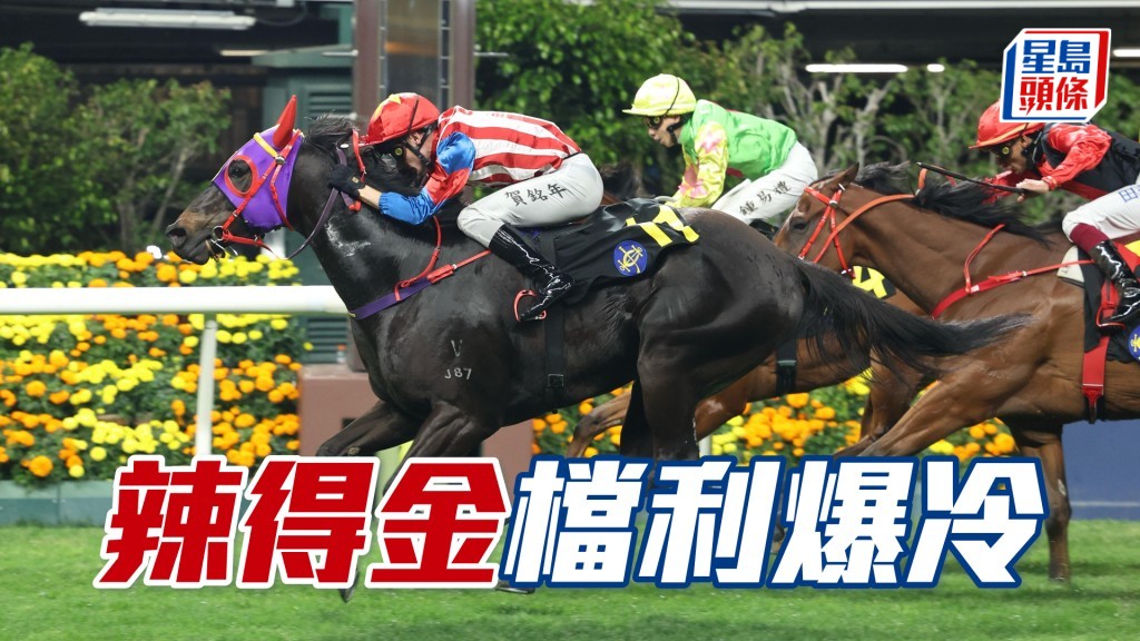 「辣得金」檔利爆冷