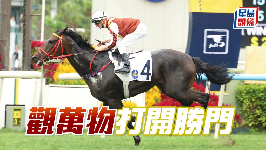 「觀萬物」打開勝門