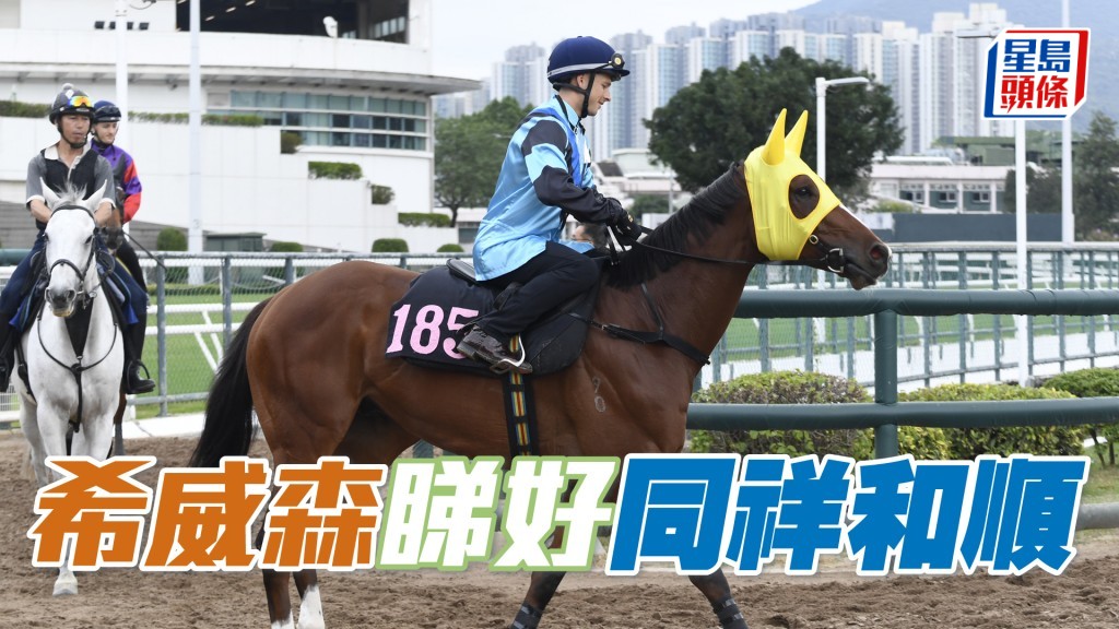 「同祥和順」應該可以勝任谷戰，希望能夠收復前失。