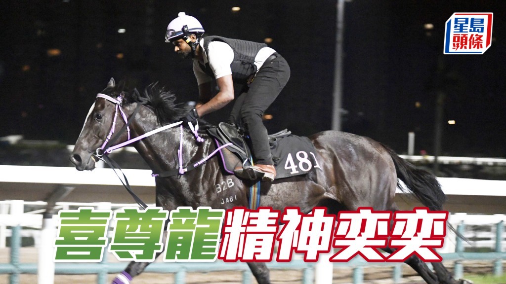 「喜尊龍」走勢硬朗勁度不弱，相當吸引。