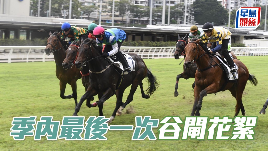 今早(五月九日)快活谷舉行季內最後一次試閘。