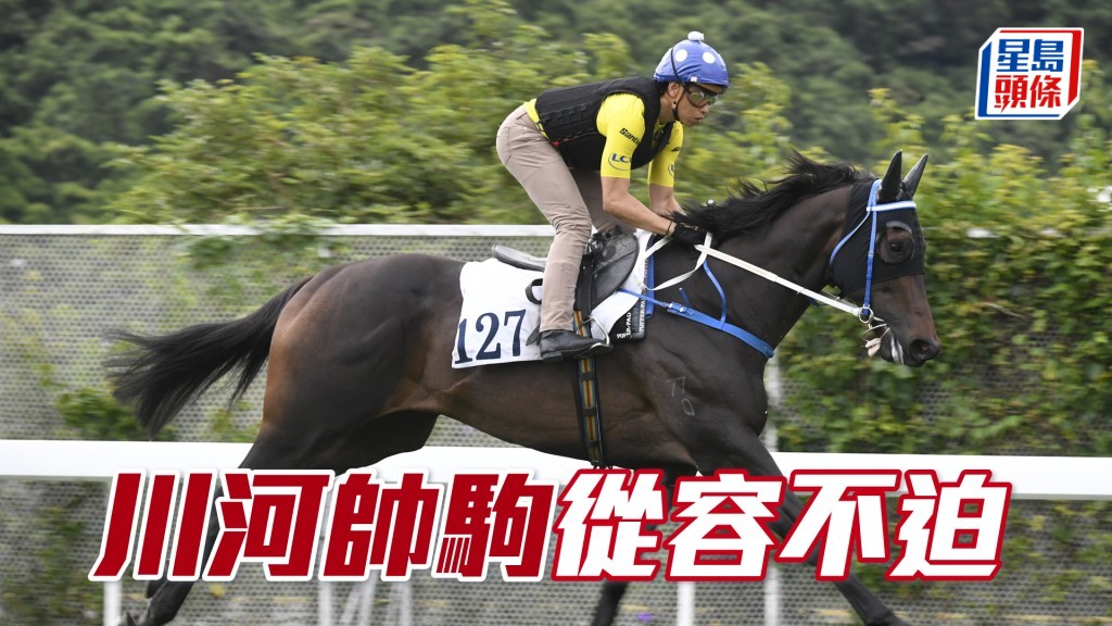 「川河帥駒」出腳彈力夠，轉方廄後越操越靚。
