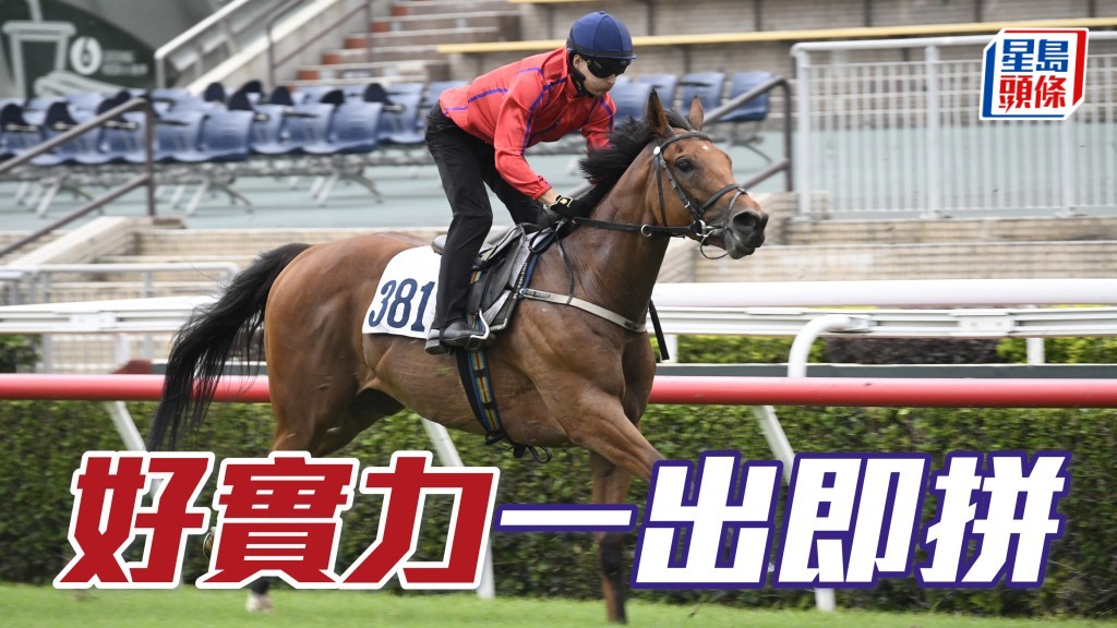 「好實力」(圖) 同主馬「食得好」和「好好食」在港均初出即勝,前駒周末在港初出,當然值得留意。
