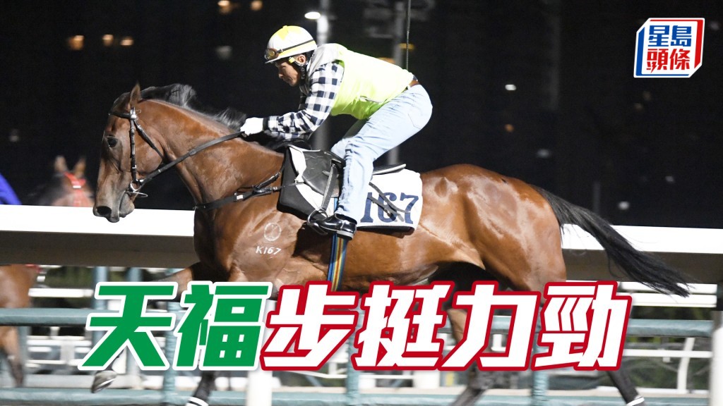 「天福」扣住而驰心火涌现，目光锐利展现朝气。