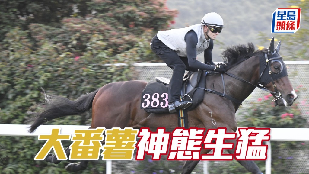 「大番薯」神态生猛