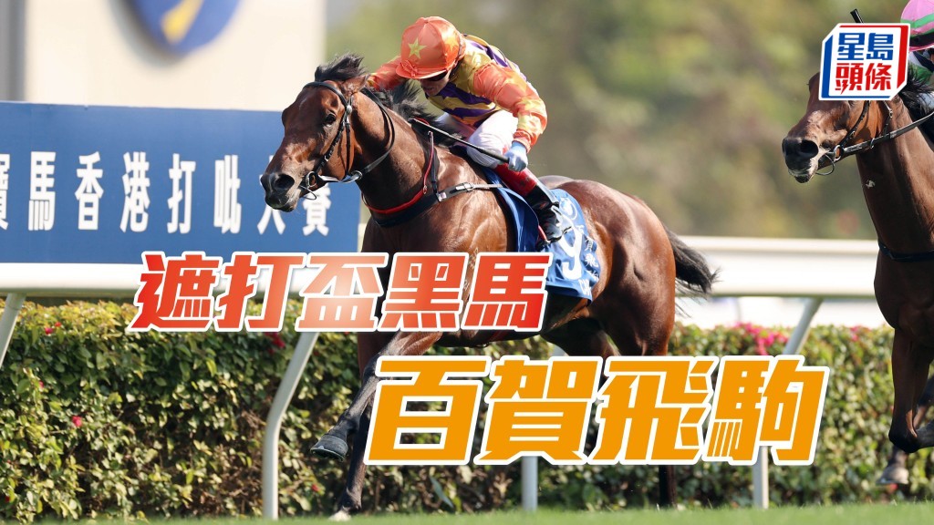呂健威盼「百賀飛駒」(圖) 揚威渣打冠軍暨遮打盃,再添大賽殊榮。