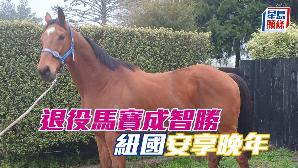 「寶成智勝」現在於紐西蘭安享晚年。