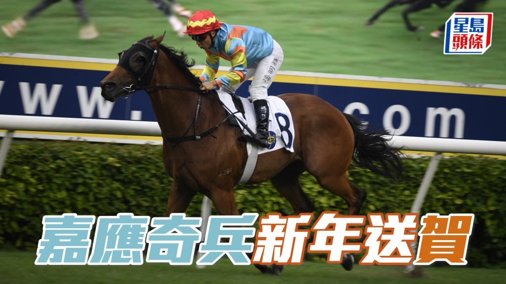 賀賢今次繼續安排「嘉應奇兵」(圖) 做快工夫，試泥閘走勢良好，重配贏馬騎師潘明輝兼排檔轉佳，半冷馬膽值敲。