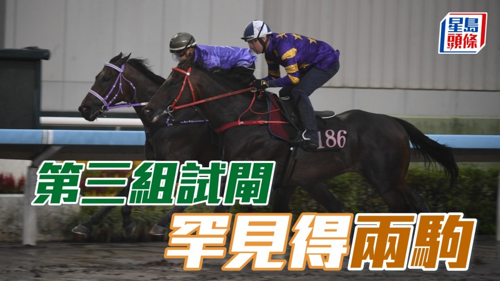 第三组试闸 罕见得「星际快车」(外)_及「友声友色」(内) 两驹