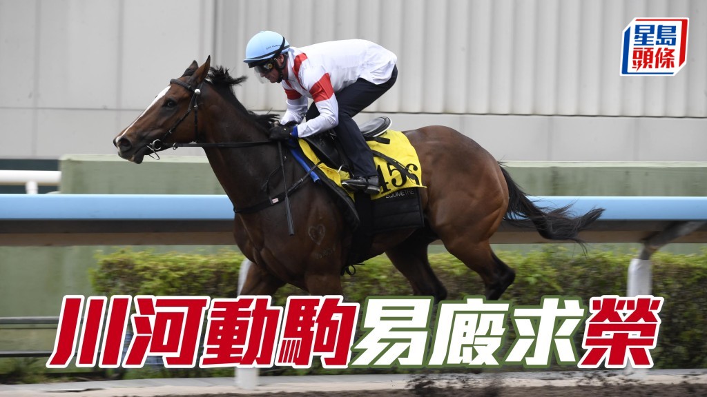 「川河动驹」早有能力赢三班赛，弱组上阵有望赢得易厩首捷。