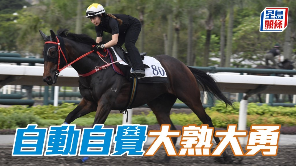 晨光追擊│ 「自動自覺」大熟大勇