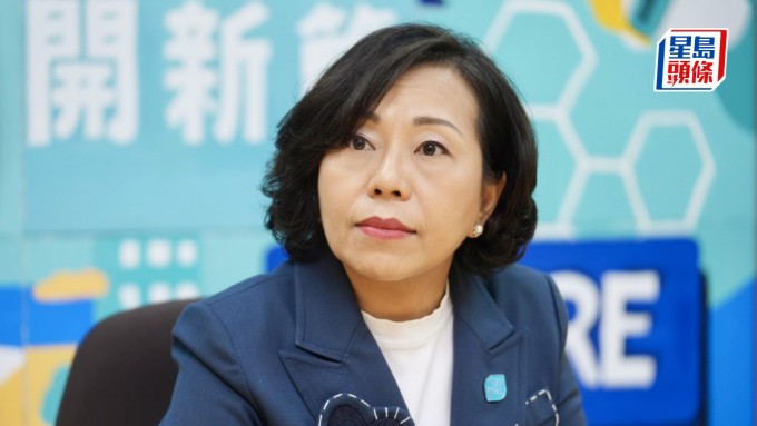 麥美娟回應有區議員大會零發言時表示, 區議員應善用會議時間,不應為發言而發言。資料圖片