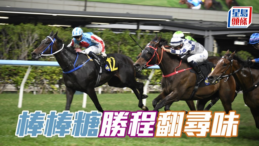 「棒棒糖」(12號) 近來頻轉程，表現失色可理解，是次回師勝程屬爭勝要角。