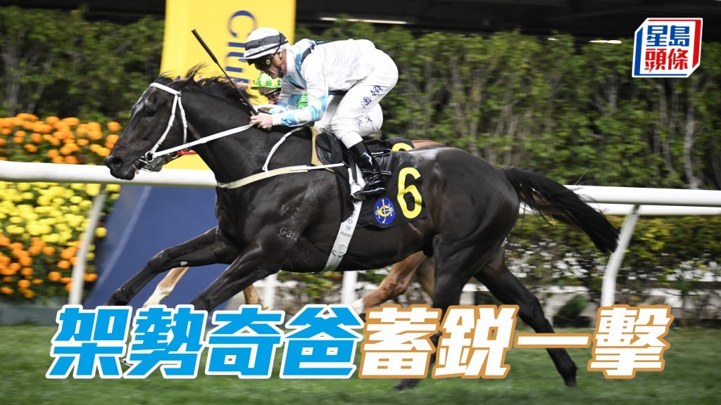 廖事如神│「架势奇爸」蓄锐一击