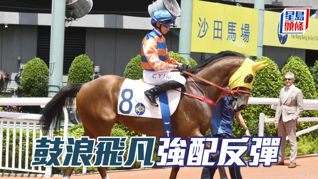 「鼓浪飛凡」現較贏馬時低十分，今仗加強配搭，或有驚喜演出。