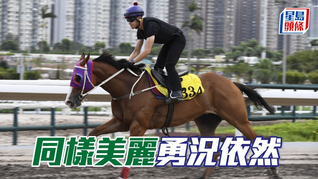 「同樣美麗」勇況依然