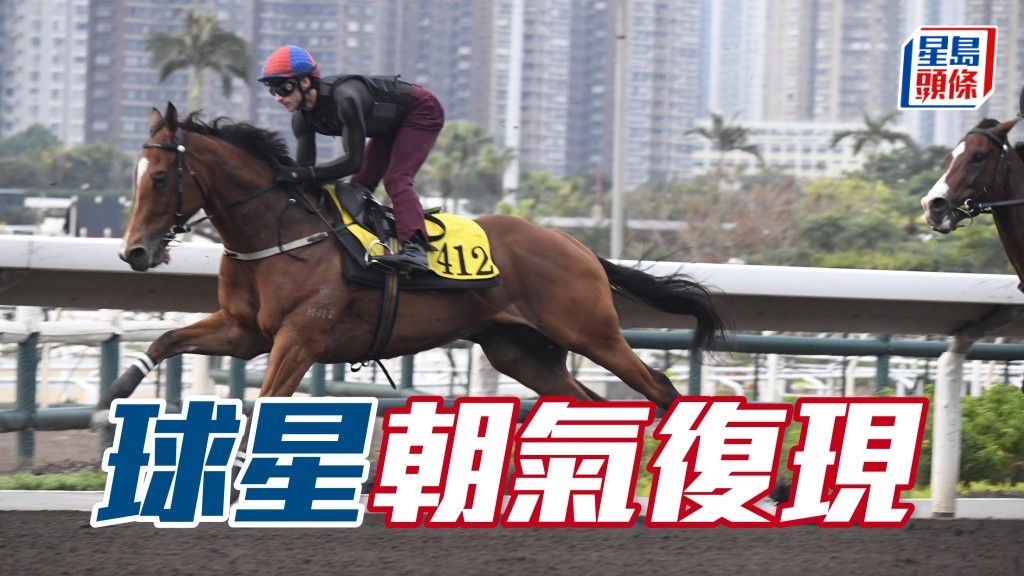  「球星」近来毛色靓番好多，神采奕奕复现朝气。