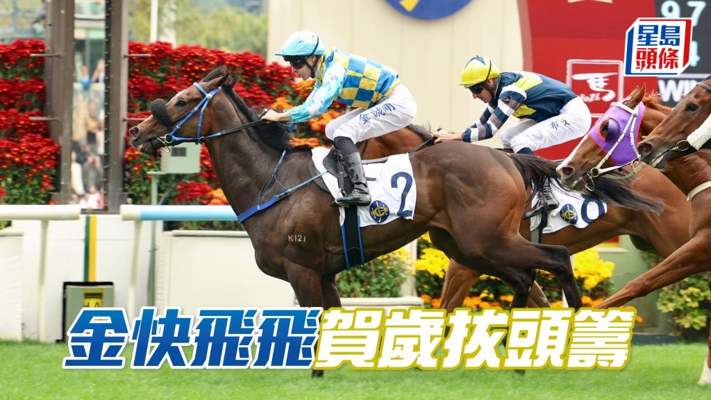 「金快飞飞」贺岁拔头筹